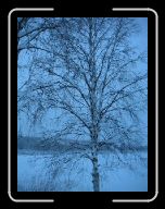 0212_0301 Sverige 020 * 600 x 800 * (109KB)